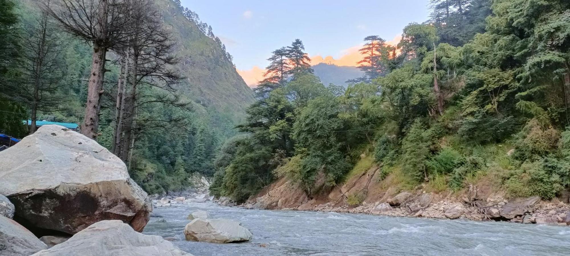 Dog N Hill Hotel Kasol Ngoại thất bức ảnh