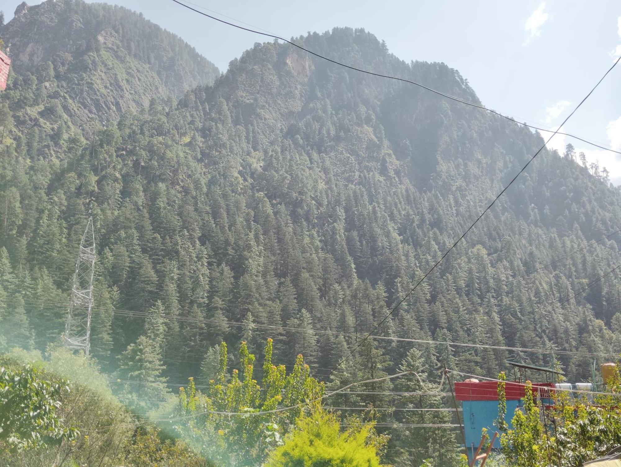 Dog N Hill Hotel Kasol Ngoại thất bức ảnh